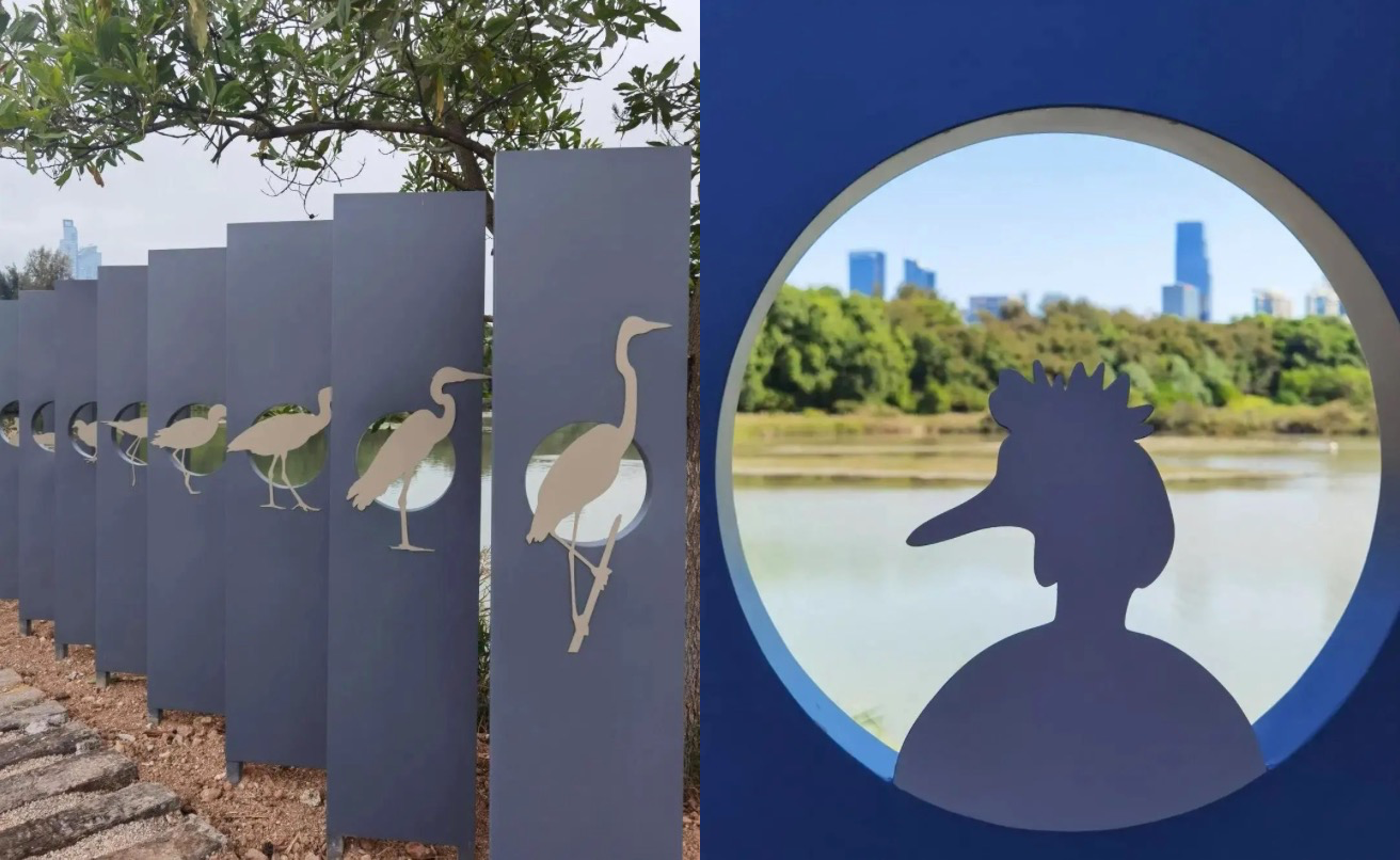 深圳新添自然生态打卡点:红树林观鸟长廊启用|红树林_新浪财经_新浪网