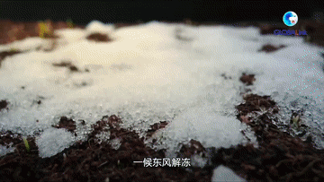 中国故事休闲区蓝鸢梦想 - Www.slyday.coM