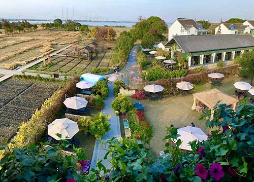 当来到苏州震泽苏小花田园餐吧,会发现,咖啡并非城里人的专利,而咖啡