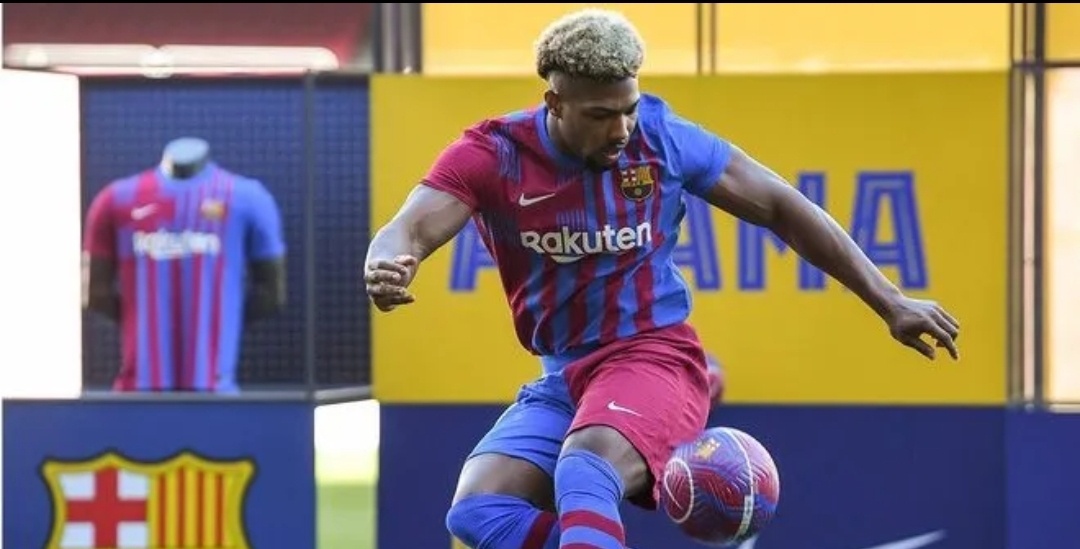 巴萨|特劳雷_新浪新闻