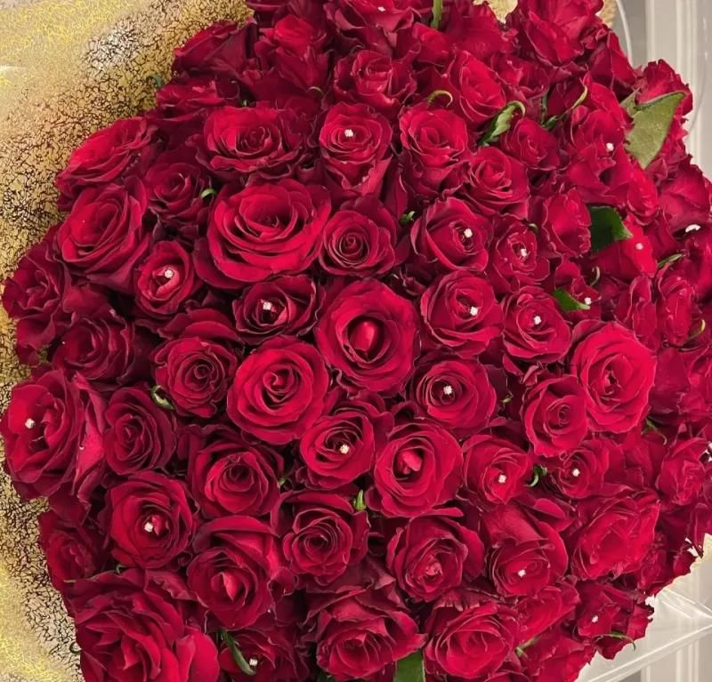 浪漫c罗情人节送乔治娜一大束玫瑰花两人亲密热吻