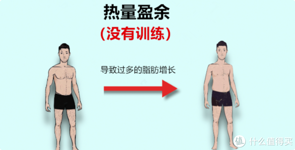 一段时间停止健身后会发生哪些变化？掉肌肉怎么办？休闲区蓝鸢梦想 - Www.slyday.coM