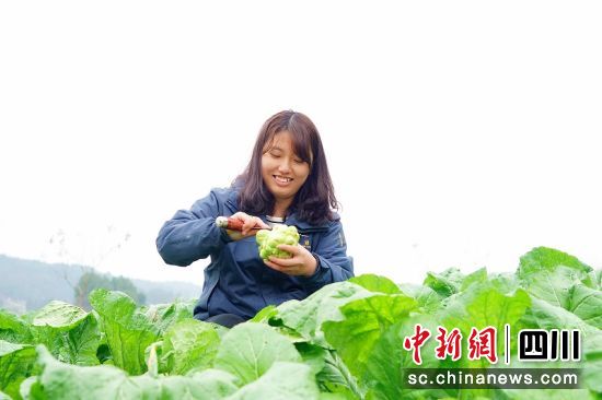 西充：“90后”大学生返乡创业带领村民走上致富路休闲区蓝鸢梦想 - Www.slyday.coM