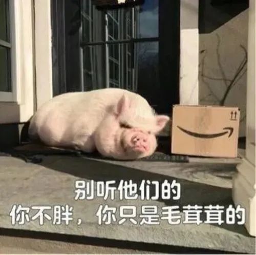 天津相声广播【现世报】苏翊鸣：《关于第三跳还没跳就得金牌这件事》休闲区蓝鸢梦想 - Www.slyday.coM