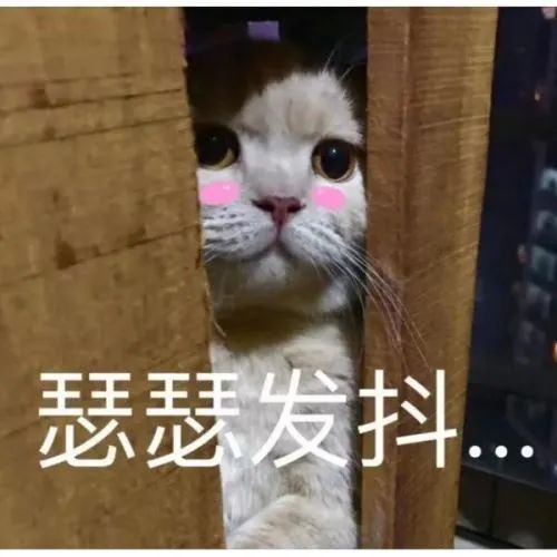 变态！青海一男子躲厕所偷拍他人隐私被拘留！休闲区蓝鸢梦想 - Www.slyday.coM