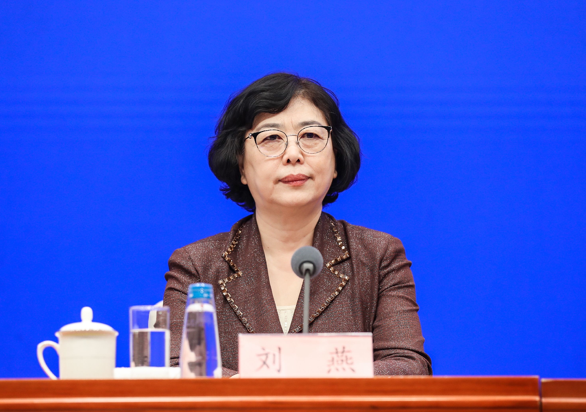 国家市场监管总局信用监管司司长刘燕.图源/国新网