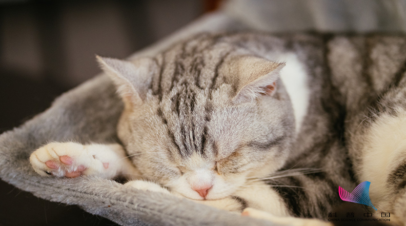 每天多睡1小时，就能减掉20斤？完全不痛苦的减肥方法被找到了？休闲区蓝鸢梦想 - Www.slyday.coM