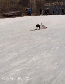 天津相声广播【现世报】苏翊鸣：《关于第三跳还没跳就得金牌这件事》休闲区蓝鸢梦想 - Www.slyday.coM