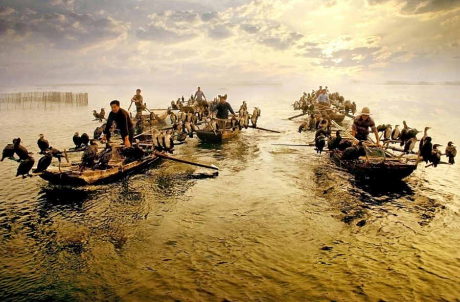 华北生态明珠！北方最大的淡水湖南四湖未来竟会变成这个样子……休闲区蓝鸢梦想 - Www.slyday.coM