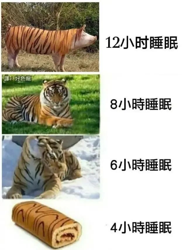 天津相声广播【现世报】苏翊鸣：《关于第三跳还没跳就得金牌这件事》休闲区蓝鸢梦想 - Www.slyday.coM