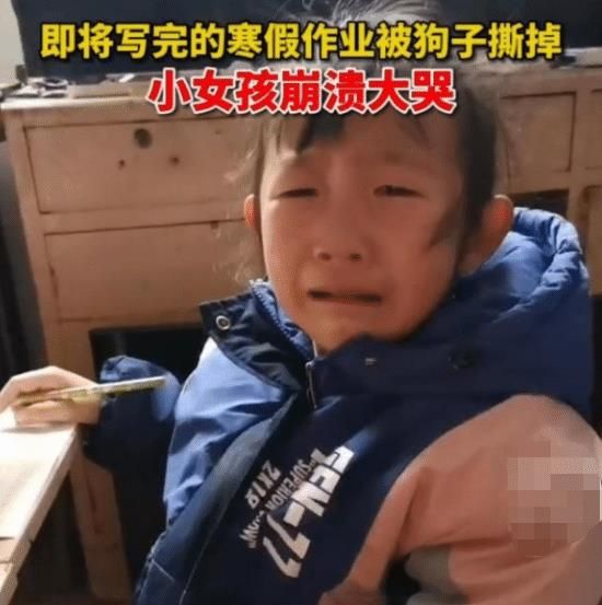 安徽小学生辛辛苦苦补作业，却被狗撕碎当场大哭，老师的回应亮了休闲区蓝鸢梦想 - Www.slyday.coM