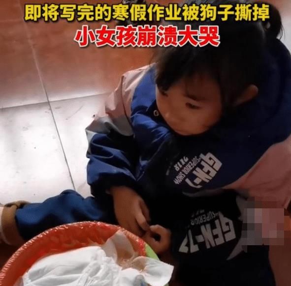 安徽小学生辛辛苦苦补作业，却被狗撕碎当场大哭，老师的回应亮了休闲区蓝鸢梦想 - Www.slyday.coM