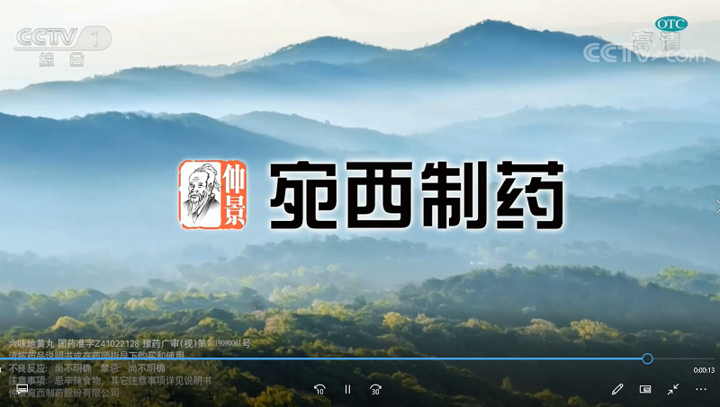 仲景宛西制药孙锋下大气力做好仲景品牌培育