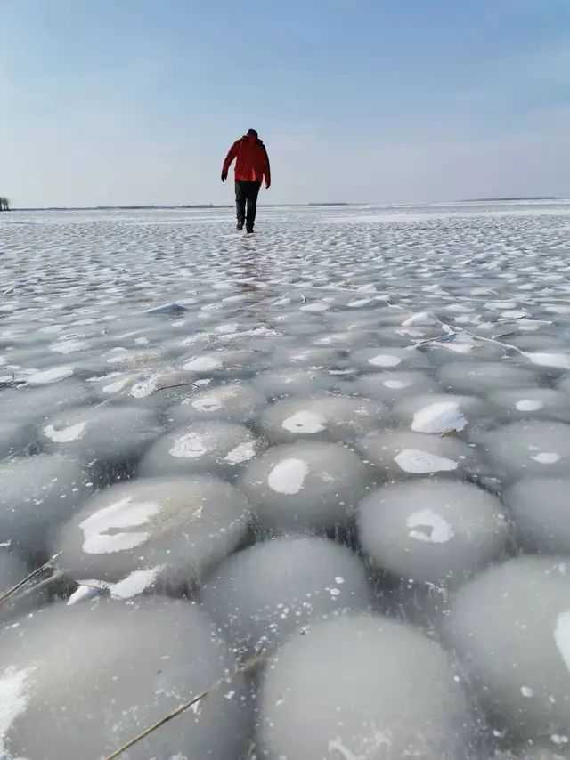 吉林四海湖出现满湖"冰汤圆,大如篮球数量多达数十万|汤圆|雪团|湖面