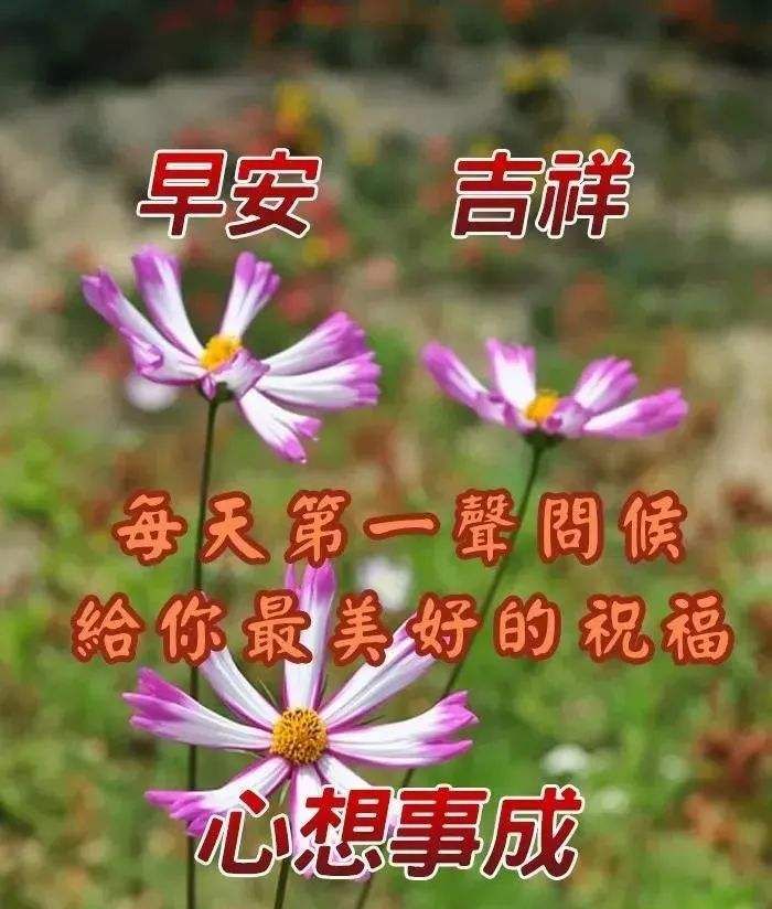 20220216早安心语正月十六正能量语录早上好好看问候图片