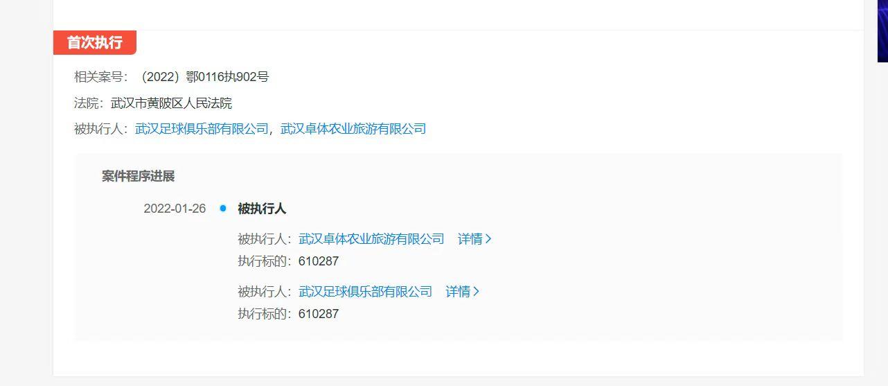 被蒿俊闵讨薪俱乐部成被执行人，武汉足球俱乐部被强制执行休闲区蓝鸢梦想 - Www.slyday.coM