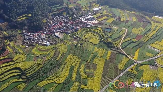 玉溪市峨山县塔甸镇至富良棚乡,大龙潭乡公路沿线,万亩山地油菜花次第