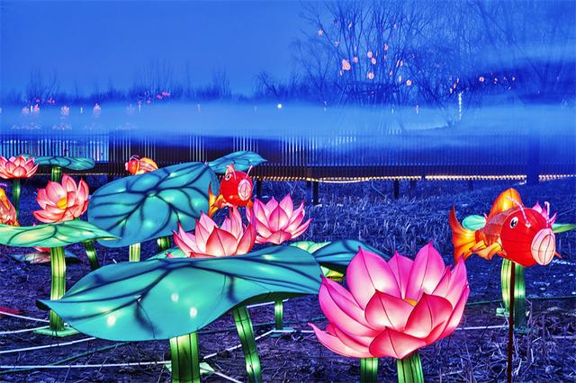 龙河中央公园灯展图片
