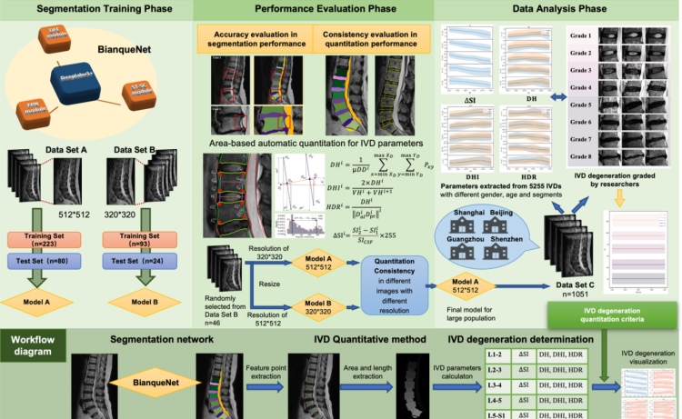 重磅！上海中医药大学王拥军教授团队成功研发腰椎间盘退变自动量化评估新方法休闲区蓝鸢梦想 - Www.slyday.coM
