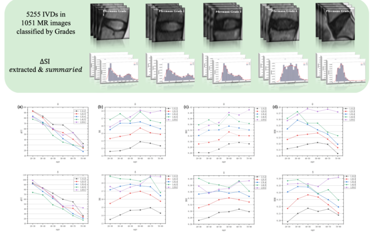 重磅！上海中医药大学王拥军教授团队成功研发腰椎间盘退变自动量化评估新方法休闲区蓝鸢梦想 - Www.slyday.coM