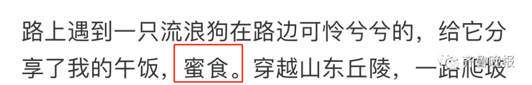 最想开学的人！山东小伙年初二出发，骑行10天到上海，一路上吃了7碗拉面、12包薯片、15块巧克力…休闲区蓝鸢梦想 - Www.slyday.coM