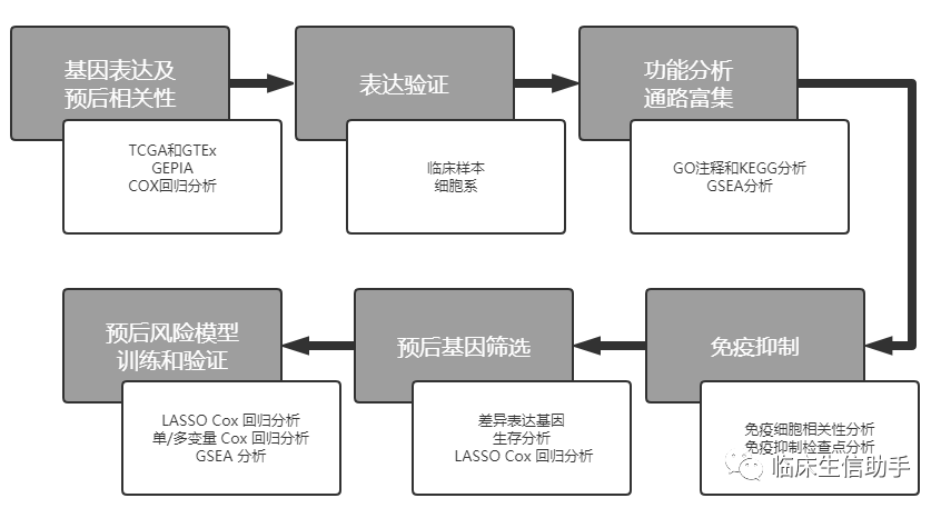 TCGA数据库GEPIA使用方法 KEGG数据库如何方便查询通路