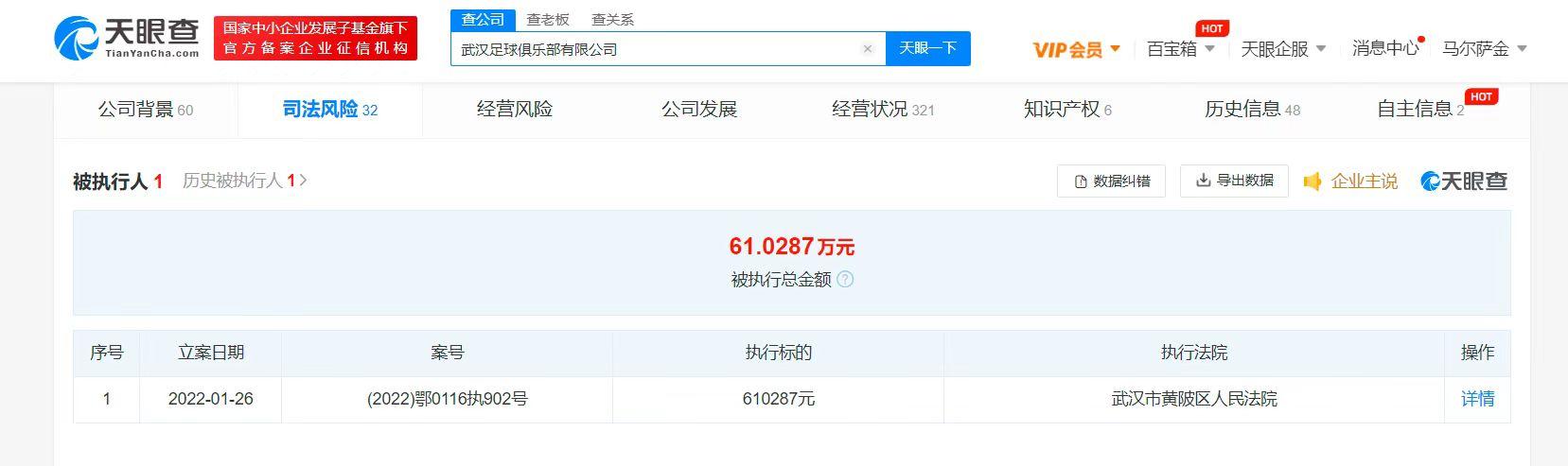 被蒿俊闵讨薪俱乐部成被执行人，武汉足球俱乐部被强制执行休闲区蓝鸢梦想 - Www.slyday.coM