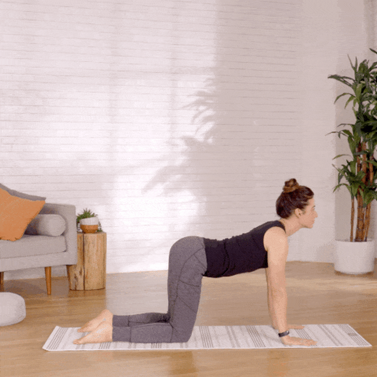 03从大拜式退出,进入四足支撑呼气,收紧核心,含胸弓背向上吸气,骨盆