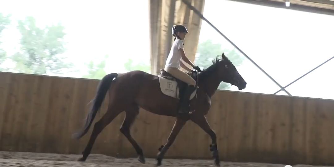 谷爱凌和苏翊鸣的爽文人生,到底跟我们有没有关系休闲区蓝鸢梦想 - Www.slyday.coM 谷爱凌和苏翊鸣的爽文人生,到底跟我们有没有关系休闲区蓝鸢梦想 - Www.slyday.coM