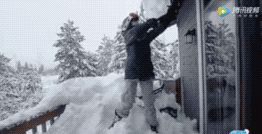 谷爱凌和苏翊鸣的爽文人生，到底跟我们有没有关系休闲区蓝鸢梦想 - Www.slyday.coM