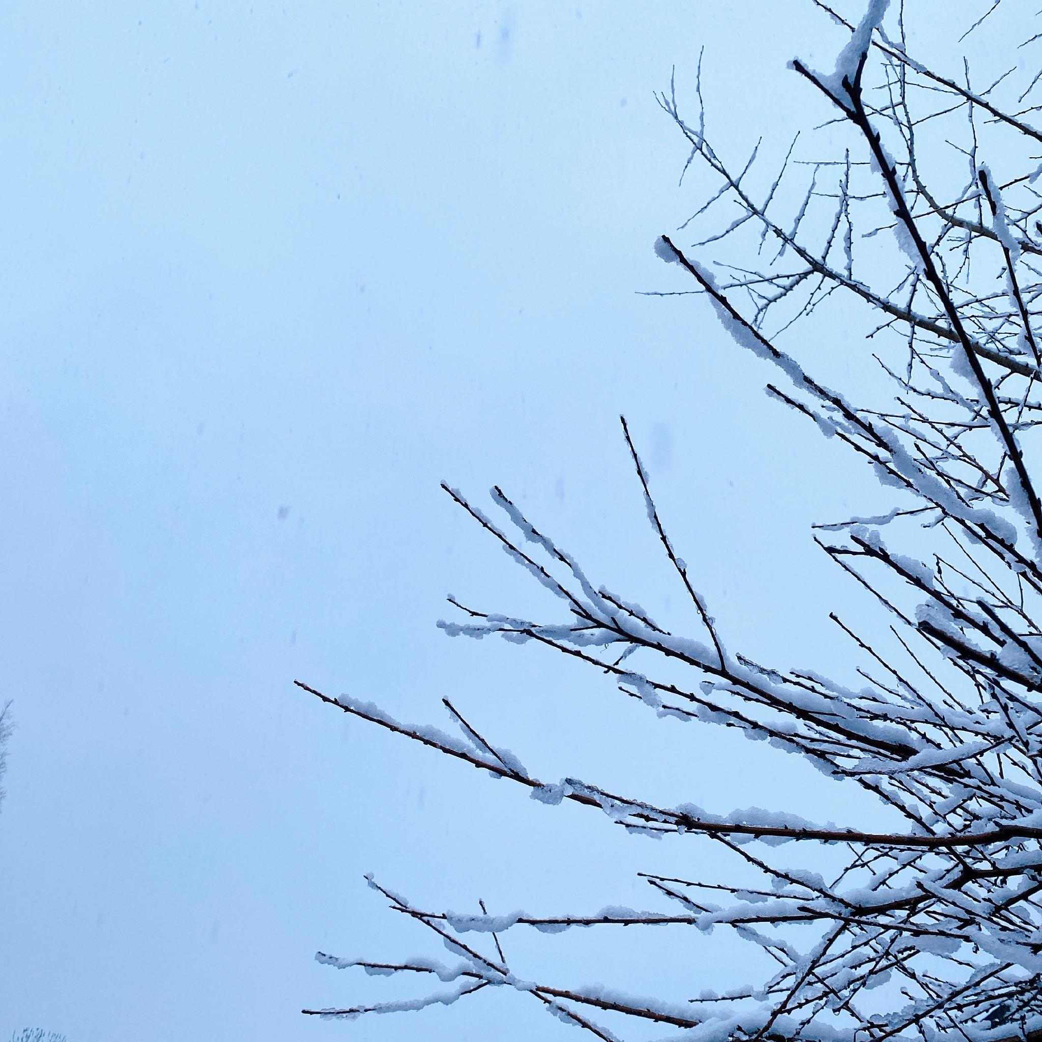 每片天空都飘雪花 说要每年一起看雪的姑娘……|下雪|天空|姑娘_新浪