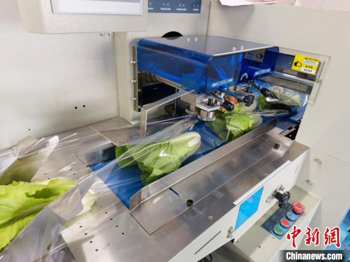 宁波塑机排行15强_“机械强农”的宁波探索(2)