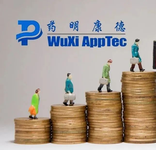 作 者丨朱艺艺