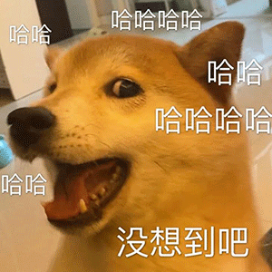 大学食堂师傅请假，去冬奥会当裁判了！网友直呼好家伙休闲区蓝鸢梦想 - Www.slyday.coM