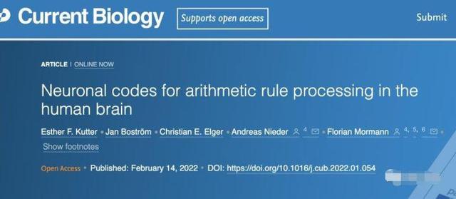 原来数学学得好真的有生理原因!科学家发现“数学细胞”真的存在休闲区蓝鸢梦想 - Www.slyday.coM 原来数学学得好真的有生理原因!科学家发现“数学细胞”真的存在休闲区蓝鸢梦想 - Www.slyday.coM