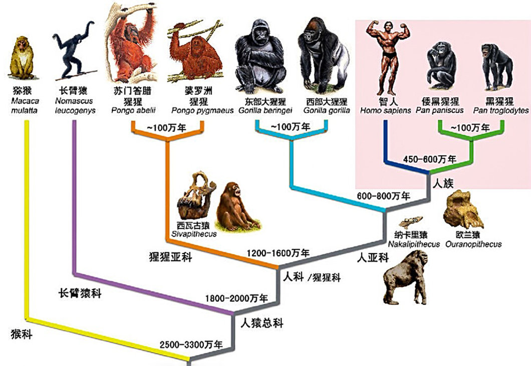 生殖隔离有多可怕？人类和动物存在生殖隔离吗？休闲区蓝鸢梦想 - Www.slyday.coM