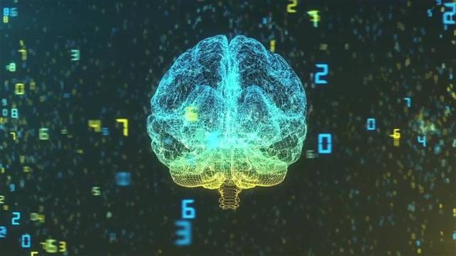 原来数学学得好真的有生理原因!科学家发现“数学细胞”真的存在休闲区蓝鸢梦想 - Www.slyday.coM 原来数学学得好真的有生理原因!科学家发现“数学细胞”真的存在休闲区蓝鸢梦想 - Www.slyday.coM