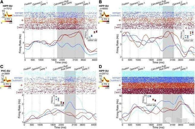 原来数学学得好真的有生理原因!科学家发现“数学细胞”真的存在休闲区蓝鸢梦想 - Www.slyday.coM 原来数学学得好真的有生理原因!科学家发现“数学细胞”真的存在休闲区蓝鸢梦想 - Www.slyday.coM