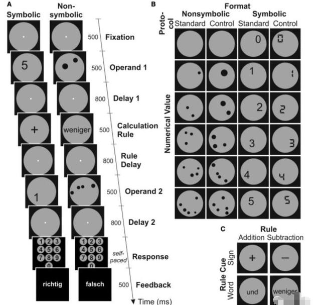 原来数学学得好真的有生理原因!科学家发现“数学细胞”真的存在休闲区蓝鸢梦想 - Www.slyday.coM 原来数学学得好真的有生理原因!科学家发现“数学细胞”真的存在休闲区蓝鸢梦想 - Www.slyday.coM