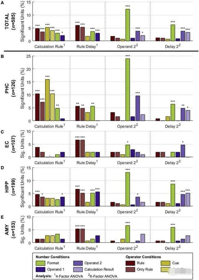 原来数学学得好真的有生理原因!科学家发现“数学细胞”真的存在休闲区蓝鸢梦想 - Www.slyday.coM 原来数学学得好真的有生理原因!科学家发现“数学细胞”真的存在休闲区蓝鸢梦想 - Www.slyday.coM