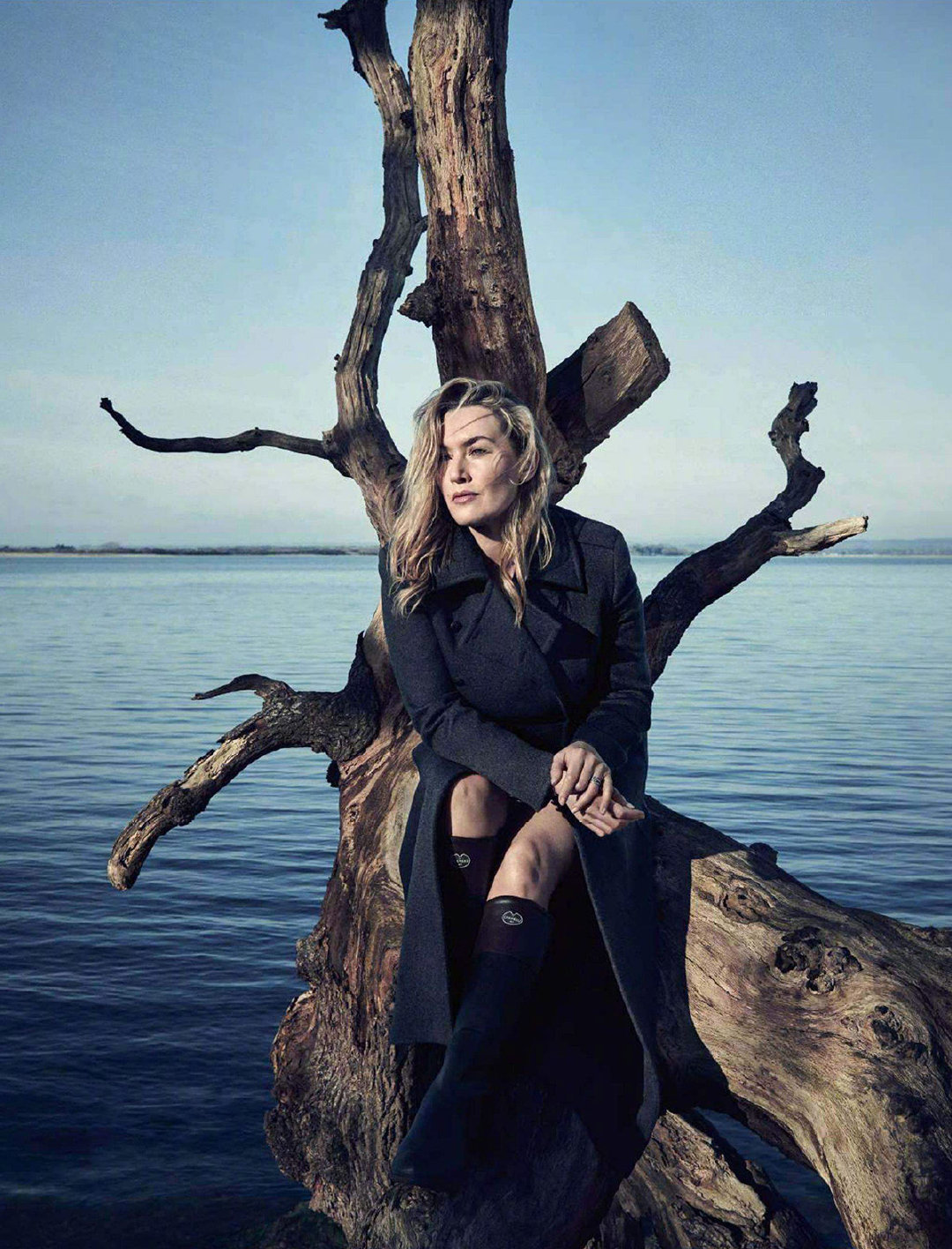 凯特温斯莱特elle杂志法国版写真jasonbell