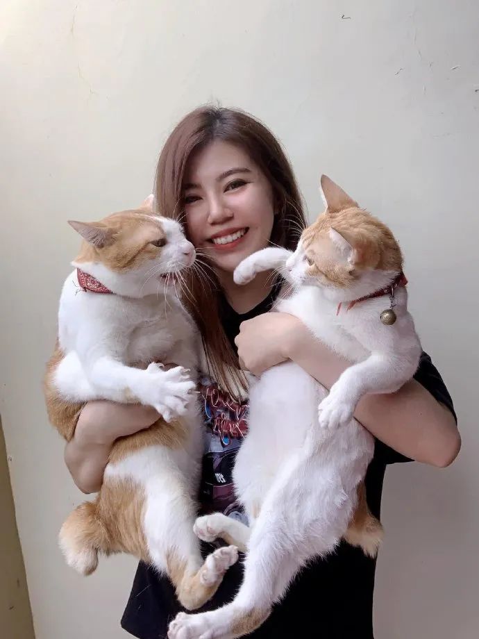 铲屎官想和两只猫拍合照,结果.|铲屎官|猫_新浪新闻