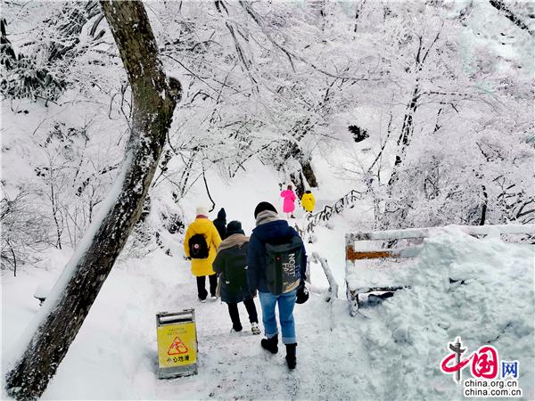 安徽黄山雪后云海妆成 网友直呼“太好看”休闲区蓝鸢梦想 - Www.slyday.coM