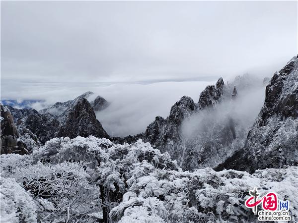 安徽黄山雪后云海妆成 网友直呼“太好看”休闲区蓝鸢梦想 - Www.slyday.coM
