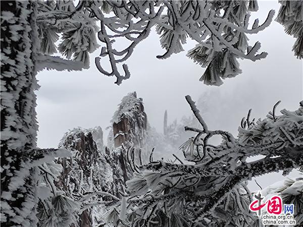 安徽黄山雪后云海妆成 网友直呼“太好看”休闲区蓝鸢梦想 - Www.slyday.coM
