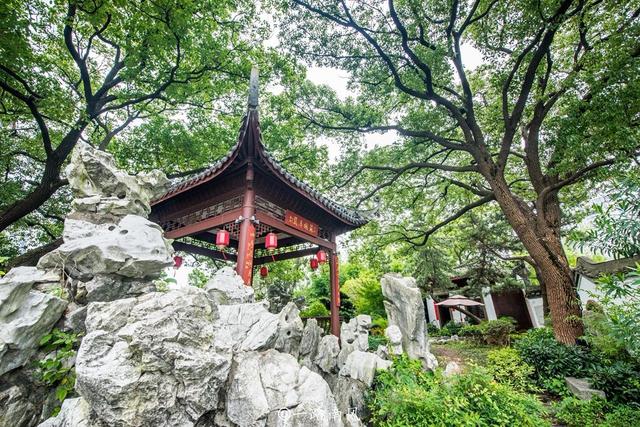 南昌老牌"相亲公园"百花洲,相亲简历成排挂,老年人热情高涨