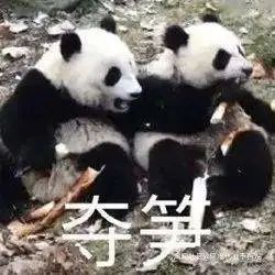 5只母鸡被偷？里水民警找回来了！休闲区蓝鸢梦想 - Www.slyday.coM