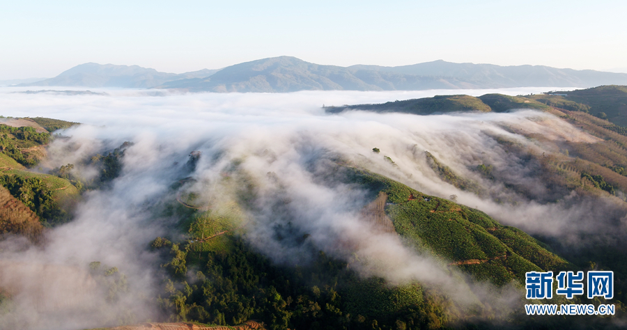 雾涌云蒸基诺山