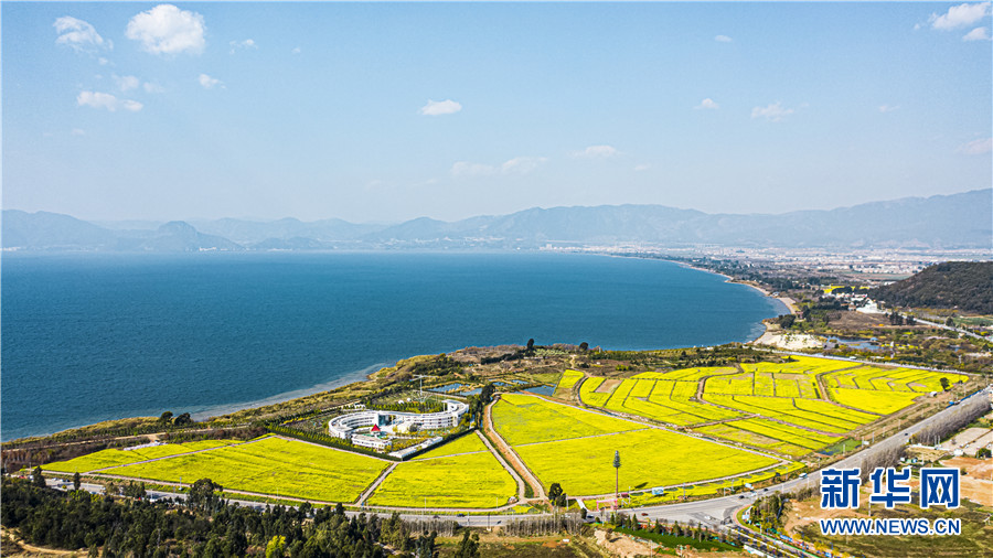 仙湖春来早花开好风光