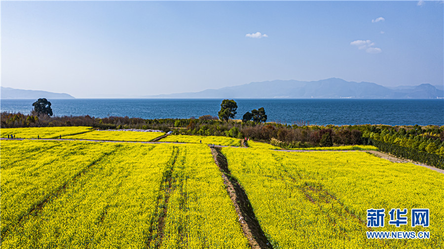 仙湖春来早花开好风光